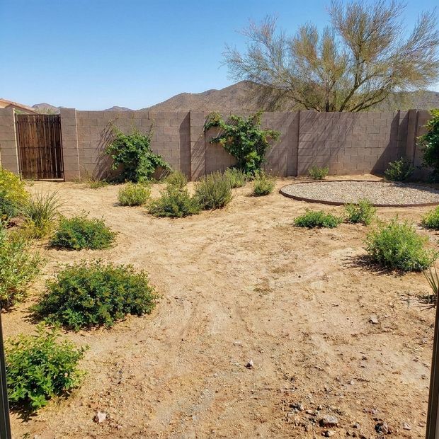 A bare dirt backyard with weeds, seen through the back door.